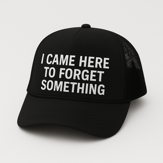 I Came Here To Forget Something